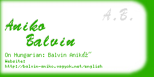 aniko balvin business card